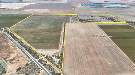 595 Woorinen Road Swan Hill VIC 3585 - Image 3