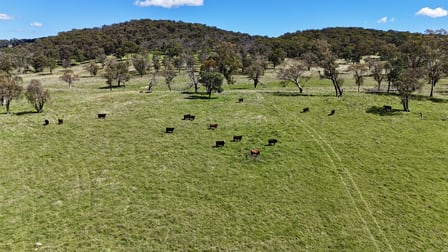 3256 Niangala Rd Walcha NSW 2354 - Image 1