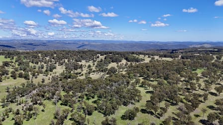 3256 Niangala Rd Walcha NSW 2354 - Image 3