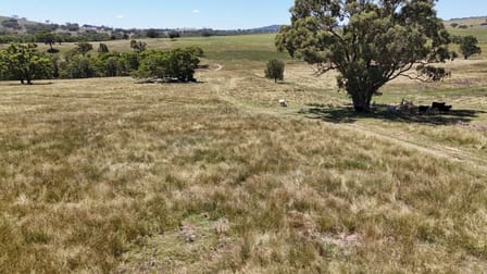 190 BROWN SPRINGS ROAD Coolah NSW 2843 - Image 3