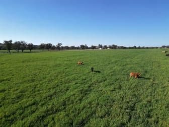 1198 Bukkulla Road Ashford NSW 2361 - Image 3