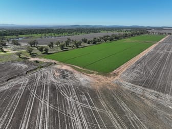 1200 Old Narrabri Road Narrabri NSW 2390 - Image 3