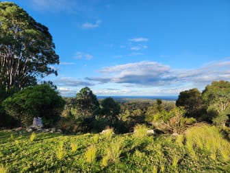 67 Omaru Lane, LOCHIEL Via Pambula NSW 2549 - Image 2