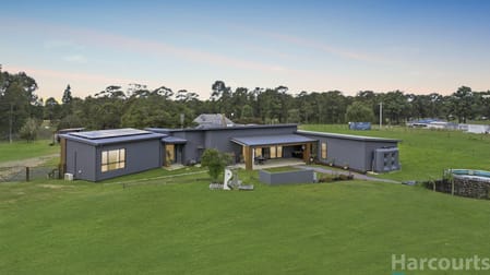 241 Frame Drive Sawyers Gully NSW 2326 - Image 3