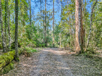776 Lower Bielsdown Road Tallowwood Ridge NSW 2453 - Image 3