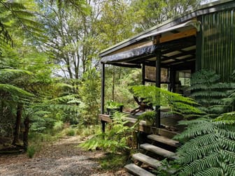 776 Lower Bielsdown Road Tallowwood Ridge NSW 2453 - Image 1