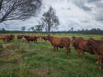 0 T Davis Road Bauple Forest QLD 4650 - Image 1