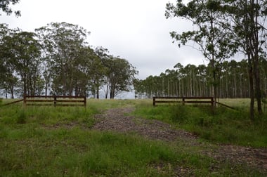 7877AB Mount Lindesay Road Legume NSW 2476 - Image 2