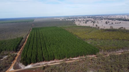 Lot 1 Jim Ryans Road Edenhope VIC 3318 - Image 1