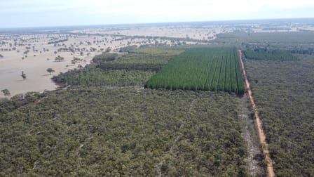 Lot 1 Jim Ryans Road Edenhope VIC 3318 - Image 3