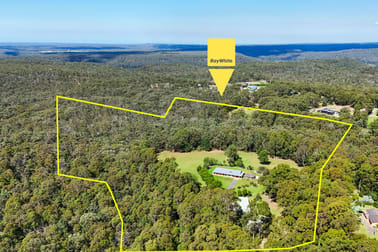 1195 Illaroo Road Tapitallee NSW 2540 - Image 2