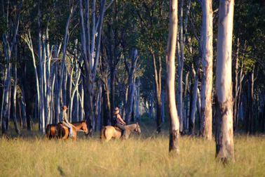 Lot 27 Burnett Highway Cynthia QLD 4627 - Image 2