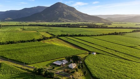 372 Russell Road Gordonvale QLD 4865 - Image 2