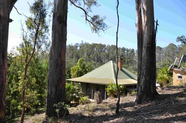 297 Cochranes Flat Rd Kiah NSW 2551 - Image 3