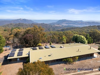 8 Old Spring Valley Road Flowerdale VIC 3717 - Image 3