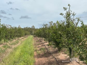 446 Chewko Road Mareeba QLD 4880 - Image 2