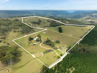 251 Sheepstation Forest Road Gingkin NSW 2787 - Image 1