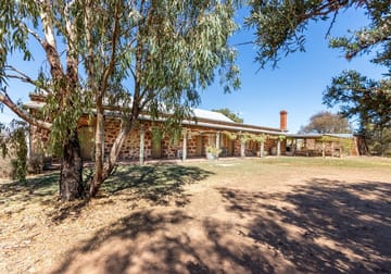 Hummocks Station/45 Barunga Homestead Rd Snowtown SA 5520 - Image 3