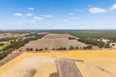 186 & 229 Runnymede Road Binningup WA 6233 - Image 1