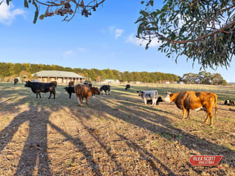 1810 Korumburra Wonthaggi Road Lance Creek VIC 3995 - Image 3