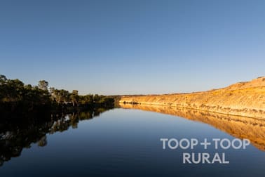 Wilcox Estate/365 Murraylands Road Morgan SA 5320 - Image 1