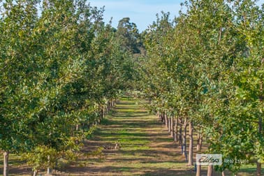1381 Donnybrook-Boyup Brook Road Lowden WA 6240 - Image 3