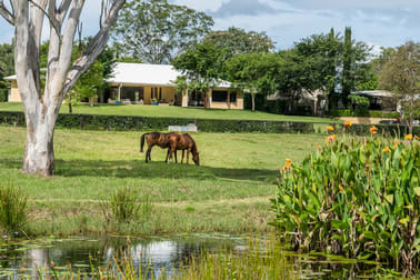 92 Lancebark Road Glenlogan QLD 4280 - Image 2