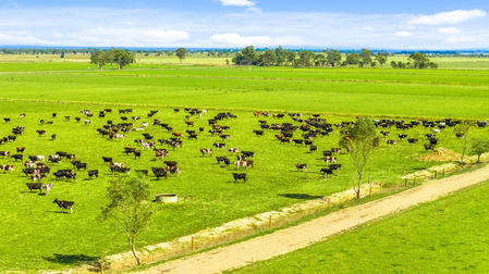 Sale - Toongabbie Road Nambrok VIC 3847 - Image 1