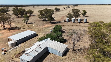 679 Bellarwi Road West Wyalong NSW 2671 - Image 2