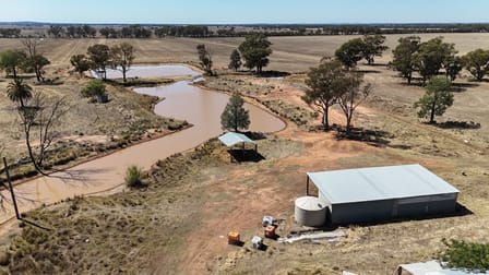 679 Bellarwi Road West Wyalong NSW 2671 - Image 3