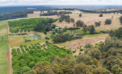 106 McKittrick Road Carlotta WA 6275 - Image 3