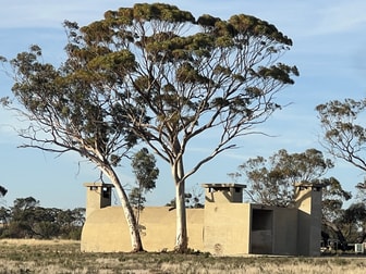 27068 & 50 Chandler Road Merredin WA 6415 - Image 2