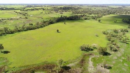"Turraden" 1517 Booral Road Wandoan QLD 4419 - Image 3