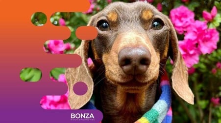 Animal Related  business for sale in Penrith - Image 3