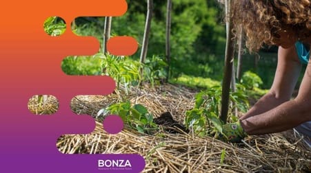 Gardening  business for sale in Thornlands - Image 2