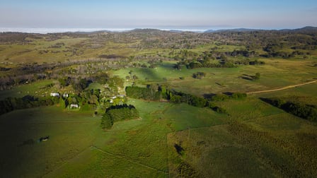 3350 Peak View Road Jerangle NSW 2630 - Image 3