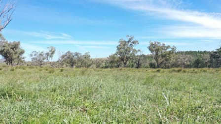173 Keepit Dam Road Rushes Creek NSW 2346 - Image 1
