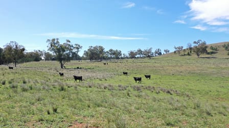 173 Keepit Dam Road Rushes Creek NSW 2346 - Image 2