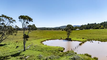 107 Avery Lane Dyers Crossing NSW 2429 - Image 2