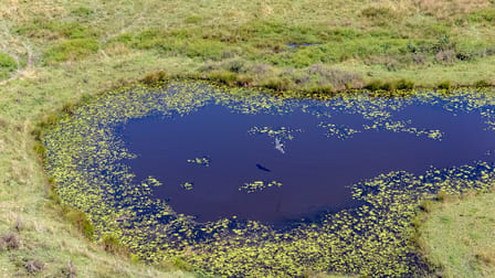 107 Avery Lane Dyers Crossing NSW 2429 - Image 3