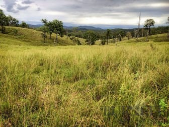 Good Night QLD 4671 - Image 1