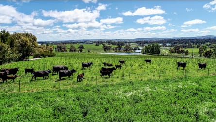 Parkwood East, 90 Hawke Lane Orange NSW 2800 - Image 3