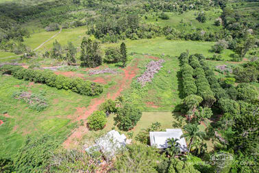 1000 Mossman Mount Molloy Road Julatten QLD 4871 - Image 2