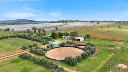 259 Racecourse Road Somerton NSW 2340 - Image 1