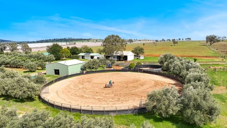 259 Racecourse Road Somerton NSW 2340 - Image 2