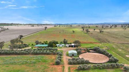 259 Racecourse Road Somerton NSW 2340 - Image 3