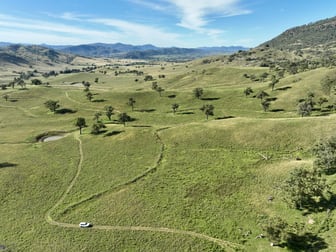 "Colly View" Glen Creek Road Scone NSW 2337 - Image 2