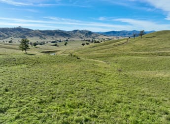 "Colly View" Glen Creek Road Scone NSW 2337 - Image 1