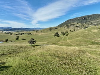 "Colly View" Glen Creek Road Scone NSW 2337 - Image 3