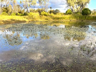 Lot 95/ Old Rosemount Road Kulpi QLD 4352 - Image 2